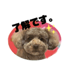 May＆Cocoa 2（個別スタンプ：6）