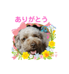 May＆Cocoa 2（個別スタンプ：7）