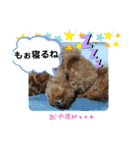 May＆Cocoa 2（個別スタンプ：13）