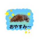 May＆Cocoa 2（個別スタンプ：14）