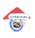 May＆Cocoa 2（個別スタンプ：16）