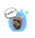 May＆Cocoa 2（個別スタンプ：21）