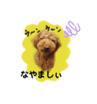 May＆Cocoa 2（個別スタンプ：22）