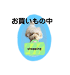 May＆Cocoa 2（個別スタンプ：24）