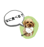 May＆Cocoa 2（個別スタンプ：29）