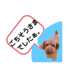 May＆Cocoa 2（個別スタンプ：31）
