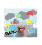 May＆Cocoa 2（個別スタンプ：34）