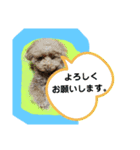 May＆Cocoa 2（個別スタンプ：36）