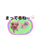 May＆Cocoa 2（個別スタンプ：39）
