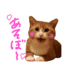 世界1可愛いスタンプ♡（個別スタンプ：1）
