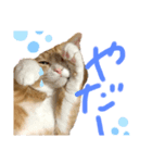 世界1可愛いスタンプ♡（個別スタンプ：3）