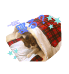 チャチャスタ☆（個別スタンプ：6）