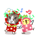 チャチャスタ☆（個別スタンプ：17）