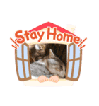 チャチャスタ☆（個別スタンプ：22）