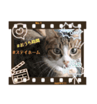 チャチャスタ☆（個別スタンプ：23）