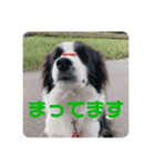 セナ'sスタンプ（個別スタンプ：14）
