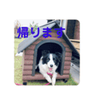 セナ'sスタンプ（個別スタンプ：19）