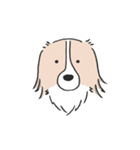我が家のブランくん（個別スタンプ：1）
