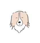我が家のブランくん（個別スタンプ：3）