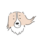 我が家のブランくん（個別スタンプ：8）
