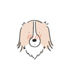 我が家のブランくん（個別スタンプ：10）