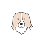 我が家のブランくん（個別スタンプ：16）