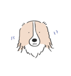 我が家のブランくん（個別スタンプ：19）