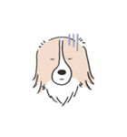我が家のブランくん（個別スタンプ：24）