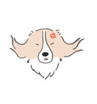 我が家のブランくん（個別スタンプ：25）