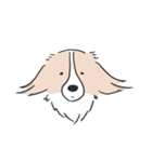 我が家のブランくん（個別スタンプ：31）