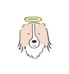 我が家のブランくん（個別スタンプ：33）
