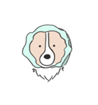 我が家のブランくん（個別スタンプ：35）