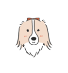 我が家のブランくん（個別スタンプ：37）