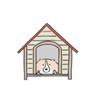 我が家のブランくん（個別スタンプ：39）