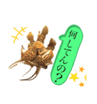 可愛い爬虫類family（個別スタンプ：9）