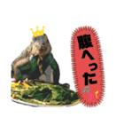 可愛い爬虫類family（個別スタンプ：15）
