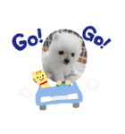 みみちゃんのスタンプ3（個別スタンプ：4）