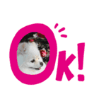 みみちゃんのスタンプ3（個別スタンプ：8）