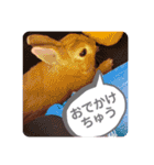 おしゃべりハニーくん（個別スタンプ：2）