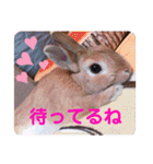 おしゃべりハニーくん（個別スタンプ：3）