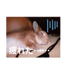 おしゃべりハニーくん（個別スタンプ：18）