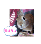 おしゃべりハニーくん（個別スタンプ：20）