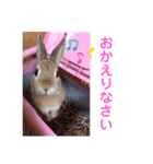 おしゃべりハニーくん（個別スタンプ：24）