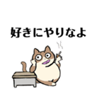 どーもですネコと仲間たち（個別スタンプ：11）