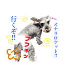 ピース＆ゆきち（個別スタンプ：1）
