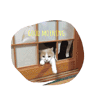 喜納家スタンプ2（個別スタンプ：4）
