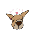 こてつのあにまる（個別スタンプ：1）