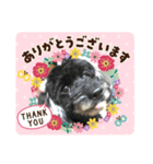 Aくんのスタンプr（個別スタンプ：6）