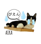 ズルガシズッコリンアイカリン（個別スタンプ：2）