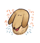 ペットーズ（個別スタンプ：1）
